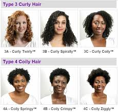 Hair Type Its Not Just Excusive To You Race Curly Hair Styles Hair Type Chart Curly Hair Styles Naturally