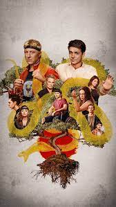 Pin By David Teran On My Pics In 2021 Cobra Kai Wallpaper Karate Kid Cobra Kai Kid Cobra