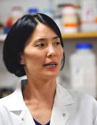 National Foundation for Cancer Research Cure Annual Report 2016