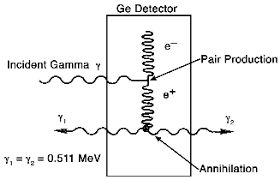 Radiation detector & pin diode. Http Faculty Washington Edu Agarcia3 Phys575 Week2 Ortec 20exp 7 Pdf