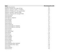 Image result for Elionurus platypus