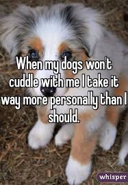 Whisper Share Secrets Express Yourself Meet New People Dog Cuddles Dogs Cute Baby Animals