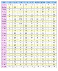 yorkie growth chart puppy growth chart yorkie puppy dog