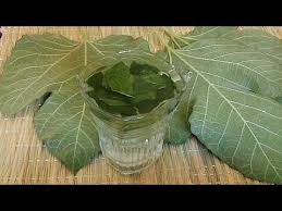 أقسم بالله علاج مجرب لمرض السرطان هدية لكل مريض سرطان انشروه إخوتي الكرام Youtube Health Remedies Chinese Martial Arts Plant Leaves
