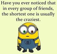 A smile is a sign of joy, a hug is a sign of love, a laugh is a sign of happiness and a friend like me… well… that's a sign of good taste. #10. 50 Best Funny Minion Quotes Funzumo