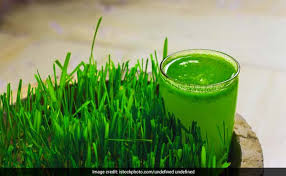 Wheatgrass is a grass usually consumed in the form of liquid or powder. This Low Calorie And No Fat Drink Can Help You Get A Flat Stomach Quickly