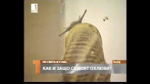 Коментари на vesko_89_