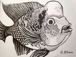 Flowerhorn Art Drawings Fish Drawings