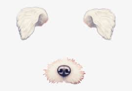 We did not find results for: So Cute Omg Dog Filter Snapchat Cute Kawaii Interesting Transparent Dog Snapchat Filters Png Free Transparent Png Download Pngkey