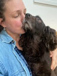 Profile for Kate's Pet Services