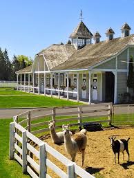 Pin By Valerie Caccia On Napavalerie We List Some Cool Places Horse Ranch Barn Stables Horse Barns