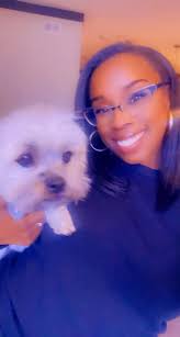 Found female maltese mix near St. Andrews canal