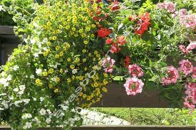 Image result for foto Vitálka