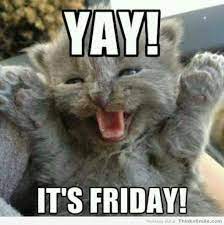 Fastest way to caption a meme. Top 18 Its Friday Meme Sarcasticmemes Lustige Humor Bilder Lustige Bilder Freitag Lustig