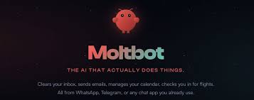 云服务器上Moltbot(原Clawdbot)一键秒级部署指南| VPS收割者