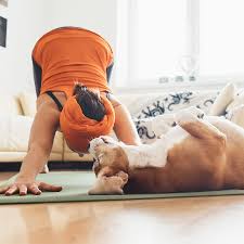 Downward Dog Yoga International Downward Dog True Yoga