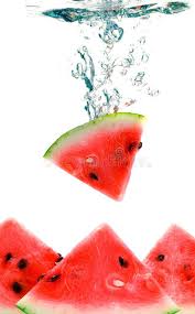 The fruit of a watermelon is considered a false berry or a squash that has a soft and juicy pulp with a lot of small seeds and a hard peel. perhaps now the readers will not have a question: Watermelon Are Falling In Water With A Big Splash Aff Falling Watermelon Water Splash Big Ad Watermelon Fruit Fruits Images