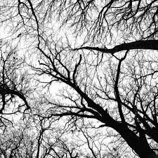 35 Hd Black White Ipad Backgrounds