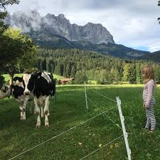 Tirol ist eine region in mitteleuropa in den alpen, die sich vom westen österreichs bis in den norden italiens erstreckt. Pastures New A Family Farmstay In Austrian Tirol Austria Holidays The Guardian