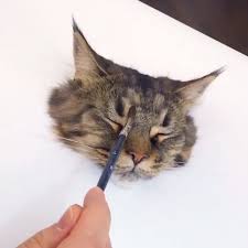 An Extremely Realistic 3d Painting Of A Cat Cute Funny Animals Cat Painting Cats