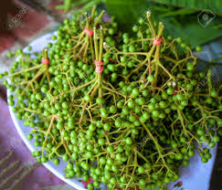 Slofoodgroup offers gourmet whole peppercorns for sale. Fresh Sichuan Pepper Fruits For Sale In Local Market Zanthoxylum Stock Photo Picture And Royalty Free Image Image 119250315
