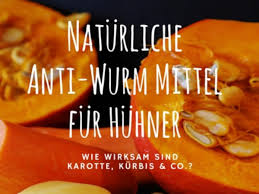 Was hilft gegen würmer im stuhl? Huhner Naturlich Entwurmen Geht Das