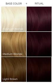 We see what is reflected. Best Af Shades For Unbleached Hair Arctic Fox Dye For A Cause