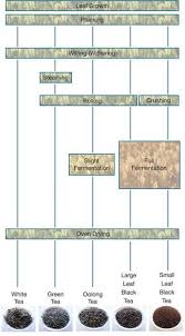 Ielts Process Writing Sample Tea Production