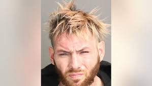 Detroit man fled traffic stop, ran red light before crashing into pregnant  woman, 1 other