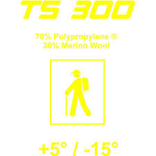 Slikovni rezultat za thermo funktion TS 300 logo