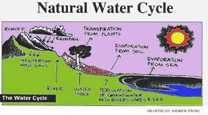 What Is Rainfall And How Is It Created Water Cycle Explanation Text Cycle