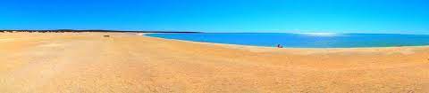 Check spelling or type a new query. Shell Beach Une Plage De 100 Km De Long Et Impossible Flickr