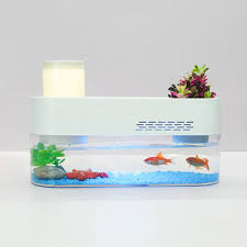 Check spelling or type a new query. China 2021 New Design Eco Lamp Led 7w Cct White Warm White Desk Top Fish Tank Table Led Aquarium On Global Sources Mini Fish Tank Table Led Aquarium Desk Top Fish Tank