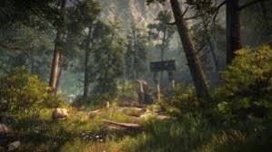 Here you get the direct link (from different filehoster) or a torrent download. The Forest Pc Download Kostenlos Herunterladen Spiele Pc Herunterladen