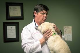 Maybe you would like to learn more about one of these? Hometown Veterinary Hospital Brandon Mississippi 39042 About Us Dr Rick Kirby