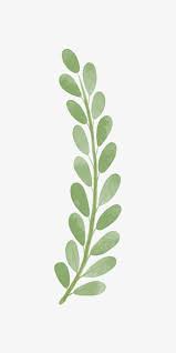 Branches Hand Painted Leaves Png Image Printable Art Decor Watercolor Leaves Painted Leaves