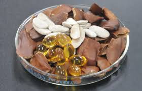 Adalah amat pahit jika dimakan begitu sahaja. Penyelidik Utm Buktikan Minyak Buah Tunjuk Langit Punyai Potensi Rawat Pelbagai Penyakit Utm Newshub