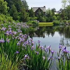 Iris is a communication agency specialising in the creation of events and design projects. Water Street Design Associates Request A Quote Landscape Architects Louisville Ky United States Phone Number