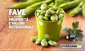 Tuttavia, anche se è possibile ricavarlo da qualsiasi spremuta delle fave di soia già confezionato, i produttori di tofu preferiscono produrre in proprio la stessa spremuta dei semi di soia, mediante l'ammollo, la frantumazione, la bollitura e la successiva colatura e filtraggio delle fave di soia secche (o più raramente fresche). Fave Proprieta Valori Nutrizionali Benefici E Controindicazioni