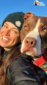 Diana Cashman's Instagram, Twitter & Facebook