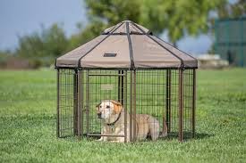 Freedom dining tables combine function, style and durability. The Best Dog Gear For Your New Puppy Rescue Or Foster Dog