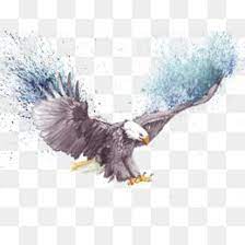 Watercolor Eagle Png Free Download Background Wallpaper For Photoshop Photo Background Images Background Images Wallpapers