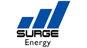 نتیجه جستجوی لغت [surge] در گوگل