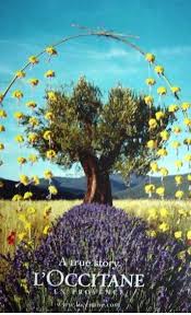 l occitane precious cream l occitane loccitane growing flowers