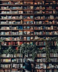 Resultado de imagen de libros tumblr