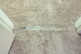 Read real reviews and see ratings for bellevue, wa small appliance repair services for free! Seattle Carpet Repair Stretching Don T Replace It Repair It