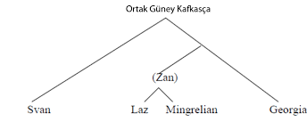 Lazca Kokeni Ve Dil Ailesi Laz Enstitusu Lazuri Enstitu