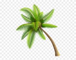 Coconut tree icon set, vector eps10. Green Palm Tree Png Clipart Coconut Trees Vector Png Transparent Png 142652 Pikpng