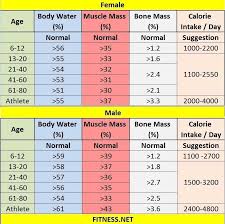71 Described Muscle Mass Women Chart