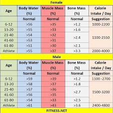 71 Described Muscle Mass Women Chart